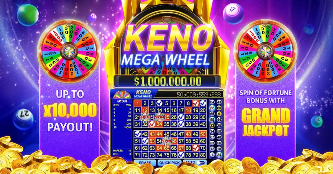 174bet mugni cassino livre